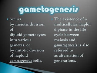 Gametogenesis Biology Diagrams