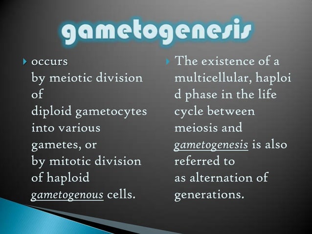 Gametogenesis | PPTX | Infertility | Reproductive Health