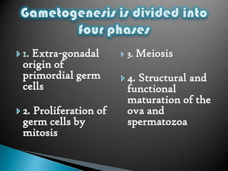 Gametogenesis Biology Diagrams