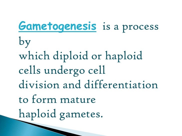 gametogenesis true or false humans form gametes by a process called gametogenesis