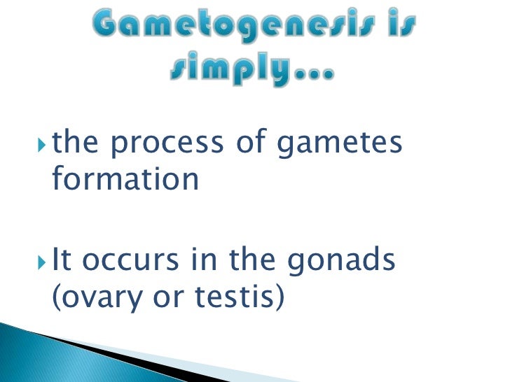 gametogenesis true or false humans form gametes by a process called gametogenesis