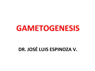 GAMETOGENESIS

DR. JOSÉ LUIS ESPINOZA V.
 