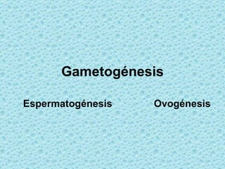 Gametogénesis

Espermatogénesis   Ovogénesis
 