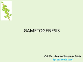 GAMETOGENESIS



       Edición: Renato Soares de Melo
              By: casimedi.com
 