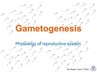 Gametogenesis
Physiology of reproductive system
Ms. Beatriz Duro 3º ESO
 
