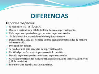 DIFERENCIAS
Espermatogénesis:












Se realiza en los TESTÍCULOS.
Ocurre a partir de una célula diploide llamada espermatogonia.
Cada espermatogonia da origen a cuatro espermatozoides.
En la Meiosis I el material se divide equitativamente.
Durante toda la vida del hombre se producen espermatozoides de manera
ininterrumpida.
Evolución sin pausas.
Se produce una gran cantidad de espermatozoides.
Cantidad pequeña de deutoplasma o vitelo nutritivo.
De cada espermatogonia salen cuatro espermatozoides.
Varios espermatozoides evolucionan en relación a una sola célula de Sertoli
(célula nutritiva).
Sólo tiene una membrana: La plasmática.

 