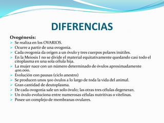 DIFERENCIAS
Ovogénesis:












Se realiza en los OVARIOS.
Ocurre a partir de una ovogonia.
Cada ovogonia da origen a un óvulo y tres cuerpos polares inútiles.
En la Meiosis I no se divide el material equitativamente quedando casi todo el
citoplasma en una sola célula hija.
La mujer nace con un número determinado de óvulos aproximadamente
400.000.
Evolución con pausas (ciclo anestro)
Se producen unos 500 óvulos a lo largo de toda la vida del animal.
Gran cantidad de deutoplasma.
De cada ovogonia sale un solo óvulo; las otras tres células degeneran.
Un óvulo evoluciona entre numerosas células nutritivas o vitelinas.
Posee un complejo de membranas ovulares.

 