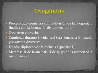  Proceso que comienza con la división de la ovogonia y






finaliza con la formación de un ovocito II.
Ocurre en el ovario.
Comienza durante la vida fetal (5ta semana a 6 meses),
y se arresta dos veces.
Estadio diploteno de la meiosis I (profase I).
Metafase II de la meiosis II de 13-50 años (pubertad a
menopausia).

 