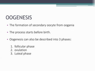 OOGENESIS
• The formation of secondary oocyte from oogania
• The process starts before birth.
• Oogenesis can also be described into 3 phases:
1. follicular phase
2. ovulation
3. Luteal phase
 