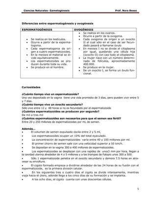 Ciencias Naturales- Gametogénesis Prof. Nora Besso
5
Diferencias entre espermatogénesis y ovogénesis
ESPERMATOGÉNESIS OVOGÉNESIS
 Se realiza en los testículos.
 Ocurre a partir de la esperma-
togonia.
 Cada espermatogonia da ori-
gen a cuatro espermatozoides.
 En la meiosis el material se di-
vide equitativamente.
 Los espermatozoides se pro-
ducen durante toda su vida.
 Se produce en el hombre.
 Se realiza en los ovarios.
 Ocurre a partir de la ovogonia.
 Cada ovogonia da origen a un ovocito
II el cual sólo en el caso de ser fecun-
dado pasará a llamarse óvulo
 En meiosis I no se divide el citoplasma
por igual, quedando una célula hija
(ovocito II) con casi todo el citoplasma.
 La mujer nace con un número determi-
nado de folículos, aproximadamente
400.000.
 Se produce en la mujer.
 De un ovocito I, se forma un óvulo fun-
cional.
Curiosidades
¿Cuánto tiempo vive un espermatozoide?
Una vez depositado en la vagina tiene una vida promedio de 3 días, pero pueden vivir entre 5
y 7 días.
¿Cuánto tiempo vive un ovocito secundario?
Sólo vive entre 12 y 48 horas si no es fecundado por el espermatozoide
¿Cuántos espermatozoides se producen por segundo?
De mil a tres mil
¿Cuántos espermatozoides son necesarios para que el semen sea fértil?
Entre 20 y 250 millones de espermatozoides por mL de semen.
Además…
 El volumen de semen expulsado oscila entre 2 y 5 ml,
 Los espermatozoides ocupan un 10% del total eyaculado.
 La concentración de espermatozoides varía entre 40 y 100 millones por ml.
 El primer chorro de semen sale con una velocidad superior a 50 km/h.
 Se depositan en la vagina 300 a 400 millones de espermatozoides.
 Los espermatozoides se desplazan con una rapidez de unos3 mm por hora, llegan a
la cavidad uterina alrededor de 4 o 5 millones y a las trompas de Falopio unos 300 a 500.
 Sólo 1 espermatozoide penetra en el ovocito secundario y demora 7.5 horas en atra-
vesar su envoltura.
 El cigoto formado empieza a dividirse alrededor de las 24 horas de su fusión con el
espermatozoide, es la primera división celular.
 En los siguientes tres o cuatro días el cigoto se divide intensamente, mientras
viaja hacia el útero, adonde llega a los cinco días de su formación y se implanta.
 A los ocho días, el cigoto cuenta con unas doscientas células.
 