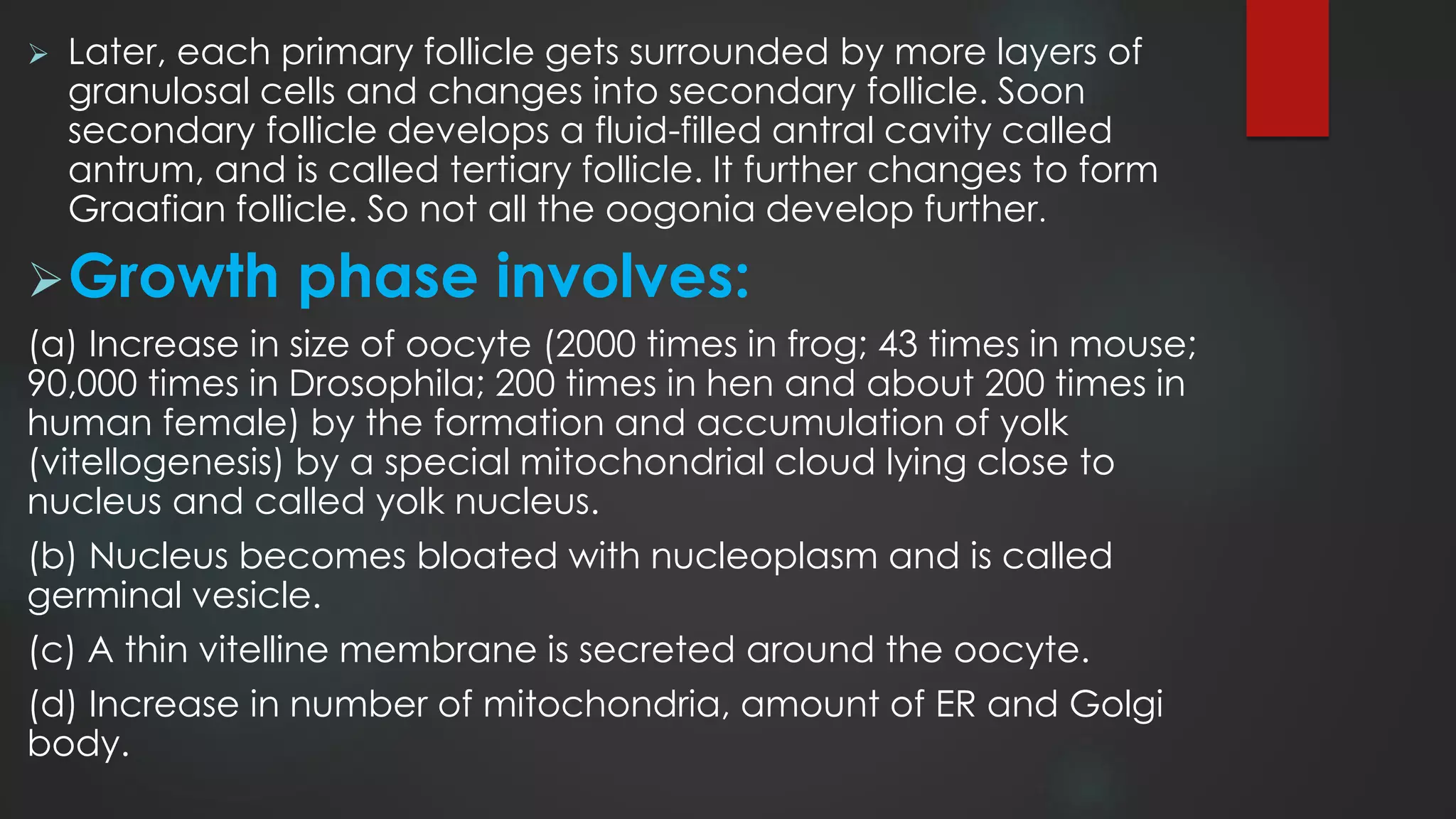  Later, each primary follicle gets surrounded by more layers of
granulosal cells and changes into secondary follicle. Soon
secondary follicle develops a fluid-filled antral cavity called
antrum, and is called tertiary follicle. It further changes to form
Graafian follicle. So not all the oogonia develop further.
Growth phase involves:
(a) Increase in size of oocyte (2000 times in frog; 43 times in mouse;
90,000 times in Drosophila; 200 times in hen and about 200 times in
human female) by the formation and accumulation of yolk
(vitellogenesis) by a special mitochondrial cloud lying close to
nucleus and called yolk nucleus.
(b) Nucleus becomes bloated with nucleoplasm and is called
germinal vesicle.
(c) A thin vitelline membrane is secreted around the oocyte.
(d) Increase in number of mitochondria, amount of ER and Golgi
body.
 