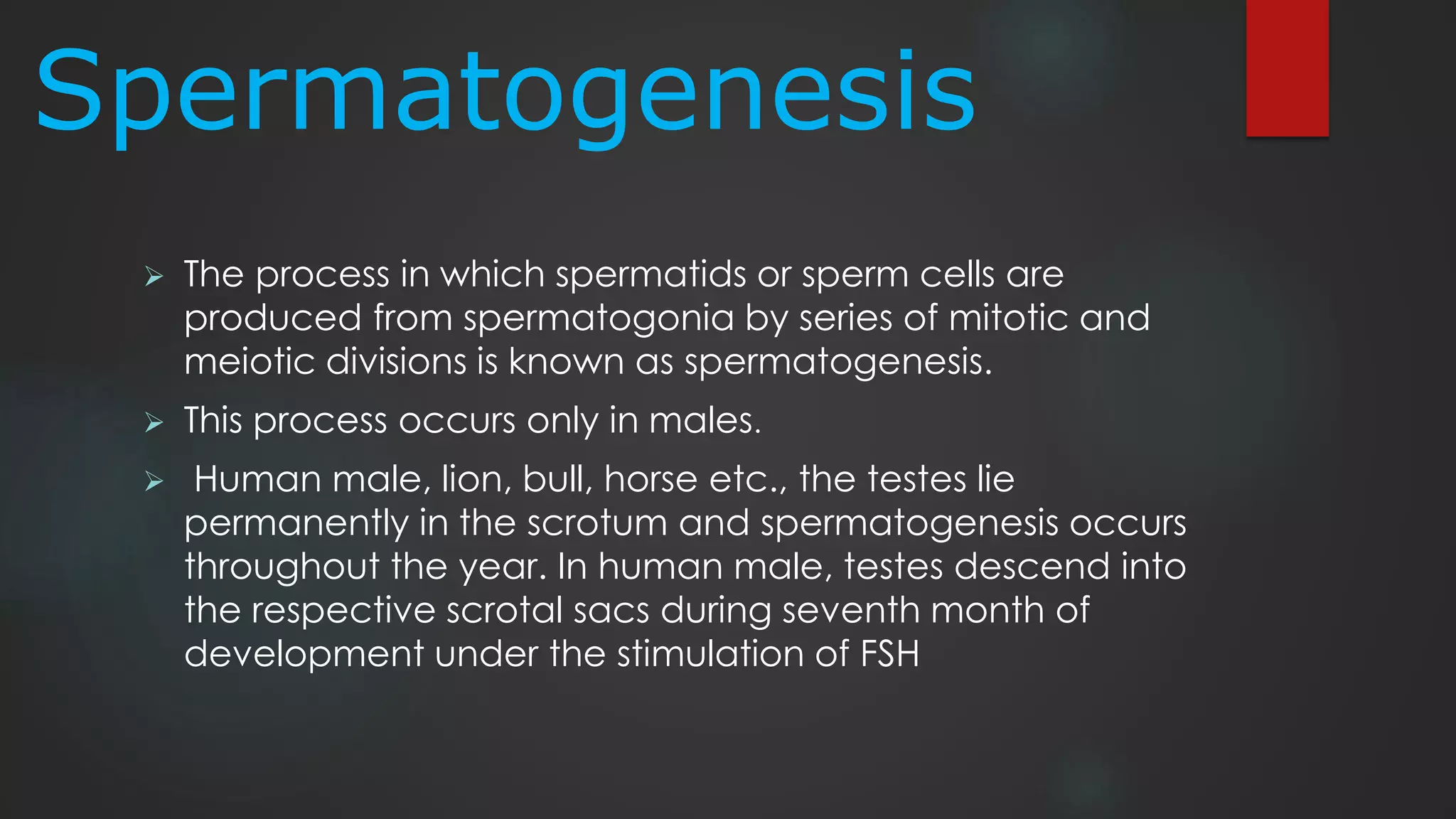 Spermatogenesis
 The process in which spermatids or sperm cells are
produced from spermatogonia by series of mitotic and
meiotic divisions is known as spermatogenesis.
 This process occurs only in males.
 Human male, lion, bull, horse etc., the testes lie
permanently in the scrotum and spermatogenesis occurs
throughout the year. In human male, testes descend into
the respective scrotal sacs during seventh month of
development under the stimulation of FSH
 