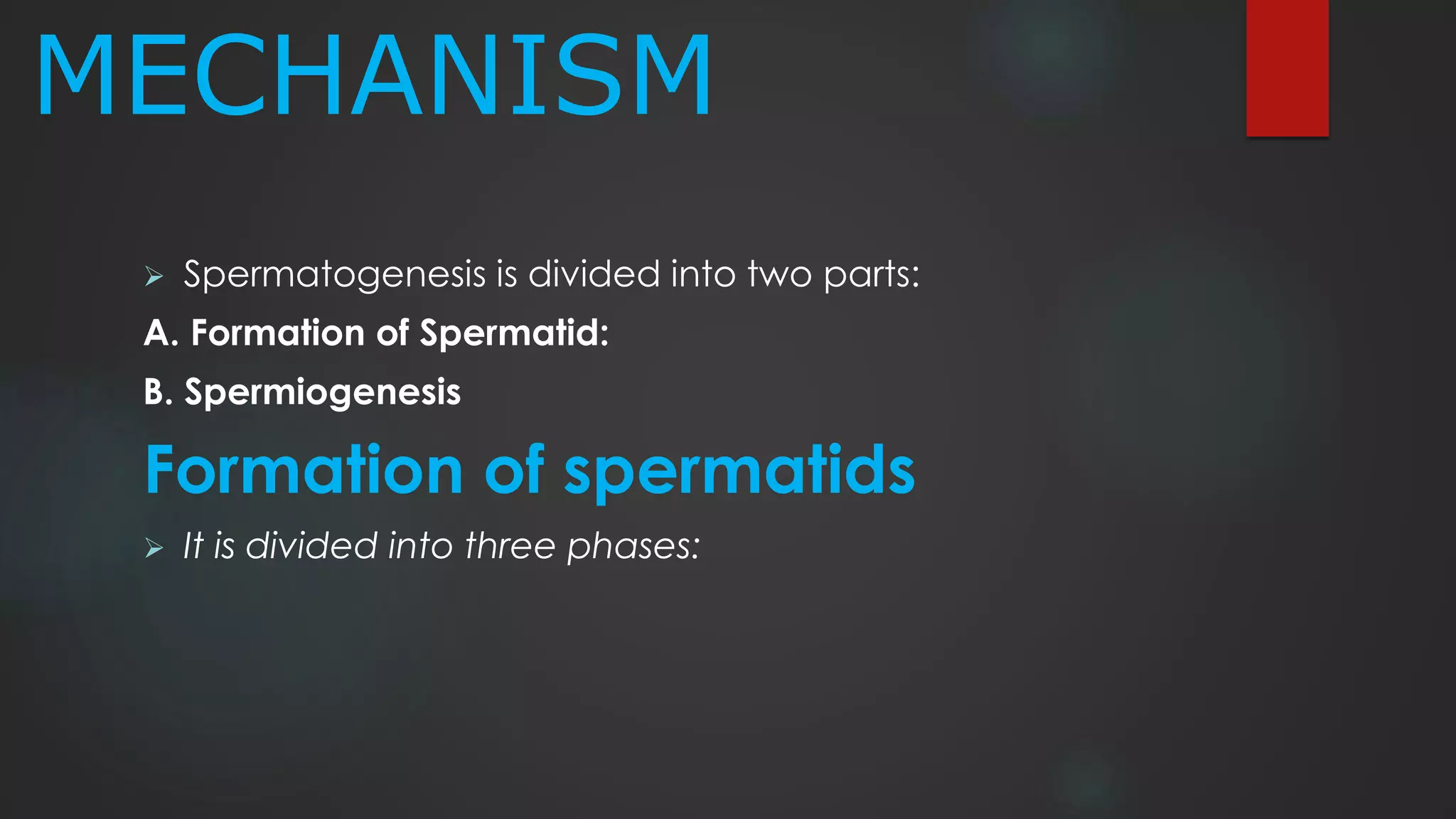 MECHANISM
 Spermatogenesis is divided into two parts:
A. Formation of Spermatid:
B. Spermiogenesis
Formation of spermatids
 It is divided into three phases:
 
