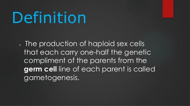 gametogenesis true or false humans form gametes by a process called gametogenesis