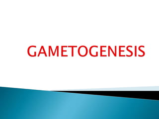 Gametogenesis | PPTX