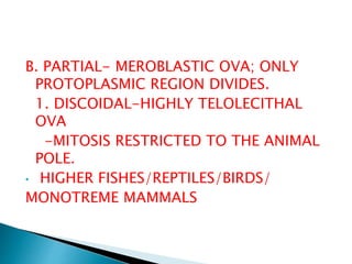 B. PARTIAL- MEROBLASTIC OVA; ONLY
PROTOPLASMIC REGION DIVIDES.
1. DISCOIDAL-HIGHLY TELOLECITHAL
OVA
-MITOSIS RESTRICTED TO THE ANIMAL
POLE.
• HIGHER FISHES/REPTILES/BIRDS/
MONOTREME MAMMALS
 