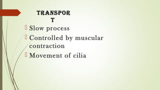 TraNSPor
T
 Slow process
 Controlled by muscular
contraction
 Movement of cilia
 