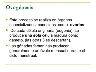 Ovogénesis
 Este proceso se realiza en órganos
especializados conocidos como ovarios.
 De cada célula originaria (oogonia), se
produce una sola célula madura como
gameto, (las otras 3 se descartan).
 Las gónadas femeninas producen
generalmente un óvulo mensual durante el
ciclo menstrual.
 