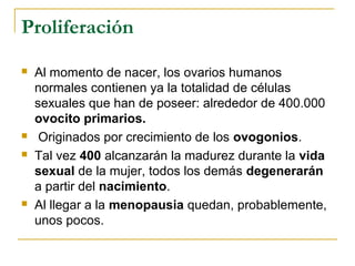 Proliferación
 Al momento de nacer, los ovarios humanos
normales contienen ya la totalidad de células
sexuales que han de poseer: alrededor de 400.000
ovocito primarios.
 Originados por crecimiento de los ovogonios.
 Tal vez 400 alcanzarán la madurez durante la vida
sexual de la mujer, todos los demás degenerarán
a partir del nacimiento.
 Al llegar a la menopausia quedan, probablemente,
unos pocos.
 