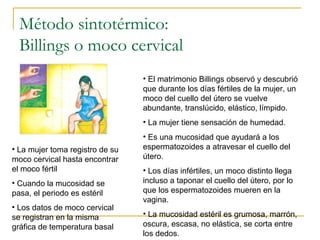 Método sintotérmico:
Billings o moco cervical
• El matrimonio Billings observó y descubrió
que durante los días fértiles de la mujer, un
moco del cuello del útero se vuelve
abundante, translúcido, elástico, límpido.
• La mujer tiene sensación de humedad.
• Es una mucosidad que ayudará a los
espermatozoides a atravesar el cuello del
útero.
• Los días infértiles, un moco distinto llega
incluso a taponar el cuello del útero, por lo
que los espermatozoides mueren en la
vagina.
• La mucosidad estéril es grumosa, marrón,
oscura, escasa, no elástica, se corta entre
los dedos.
• La mujer toma registro de su
moco cervical hasta encontrar
el moco fértil
• Cuando la mucosidad se
pasa, el periodo es estéril
• Los datos de moco cervical
se registran en la misma
gráfica de temperatura basal
 