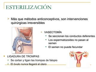 ESTERILIZACIÓN
 LIGADURA DE TROMPAS
 Se cortan y ligan las trompas de falopio
 El óvulo nunca llegará al útero
 VASECTOMÍAVASECTOMÍA

Se seccionan los conductos deferentesSe seccionan los conductos deferentes

Los espermatozoides no pasan alLos espermatozoides no pasan al
semensemen

El semen no puede fecundarEl semen no puede fecundar
 Más que métodos anticonceptivos, son intervencionesMás que métodos anticonceptivos, son intervenciones
quirúrgicas irreversiblesquirúrgicas irreversibles
 
