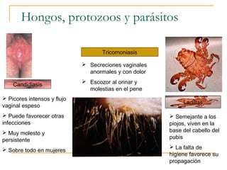 Hongos, protozoos y parásitos
Candidiasis
 Picores intensos y flujo
vaginal espeso
 Puede favorecer otras
infecciones
 Muy molesto y
persistente
 Sobre todo en mujeres
 Secreciones vaginales
anormales y con dolor
 Escozor al orinar y
molestias en el pene
 Semejante a los
piojos, viven en la
base del cabello del
pubis
 La falta de
higiene favorece su
propagación
Ladillas
Tricomoniasis
 