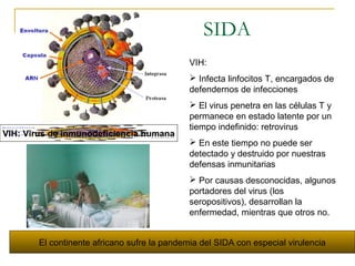 SIDA
VIH: Virus de inmunodeficiencia humana
VIH:
 Infecta linfocitos T, encargados de
defendernos de infecciones
 El virus penetra en las células T y
permanece en estado latente por un
tiempo indefinido: retrovirus
 En este tiempo no puede ser
detectado y destruido por nuestras
defensas inmunitarias
 Por causas desconocidas, algunos
portadores del virus (los
seropositivos), desarrollan la
enfermedad, mientras que otros no.
El continente africano sufre la pandemia del SIDA con especial virulencia
 