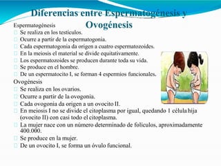 Diferencias entre Espermatogénesis y
Ovogénesis
Espermatogénesis
Se realiza en los testículos.
Ocurre a partir de la espermatogonia.
Cada espermatogonia da origen a cuatro espermatozoides.
En la meiosis el material se divide equitativamente.
Los espermatozoides se producen durante toda su vida.
Se produce en el hombre.
De un espermatocito I, se forman 4 espermios funcionales.
Ovogénesis
Se realiza en los ovarios.
Ocurre a partir de la ovogonia.
Cada ovogonia da origen a un ovocito II.
En meiosis I no se divide el citoplasma por igual, quedando 1 célula hija
(ovocito II) con casi todo el citoplasma.
La mujer nace con un número determinado de folículos, aproximadamente
400.000.
Se produce en la mujer.
De un ovocito I, se forma un óvulo funcional.
 