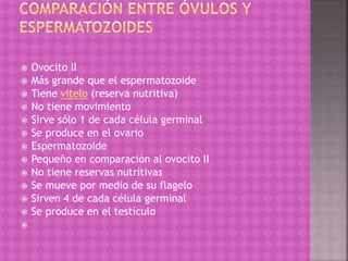  Ovocito II
 Más grande que el espermatozoide
 Tiene vitelo (reserva nutritiva)
 No tiene movimiento
 Sirve sólo 1 de cada célula germinal
 Se produce en el ovario
 Espermatozoide
 Pequeño en comparación al ovocito II
 No tiene reservas nutritivas
 Se mueve por medio de su flagelo
 Sirven 4 de cada célula germinal
 Se produce en el testículo

 