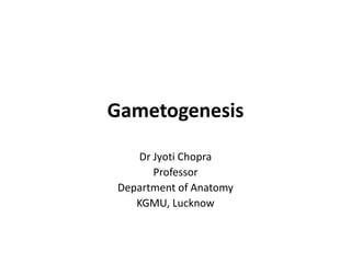 Gametogenesis
Dr Jyoti Chopra
Professor
Department of Anatomy
KGMU, Lucknow
 