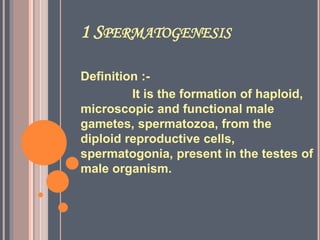 1 SPERMATOGENESIS
Definition :-
It is the formation of haploid,
microscopic and functional male
gametes, spermatozoa, from the
diploid reproductive cells,
spermatogonia, present in the testes of
male organism.
 