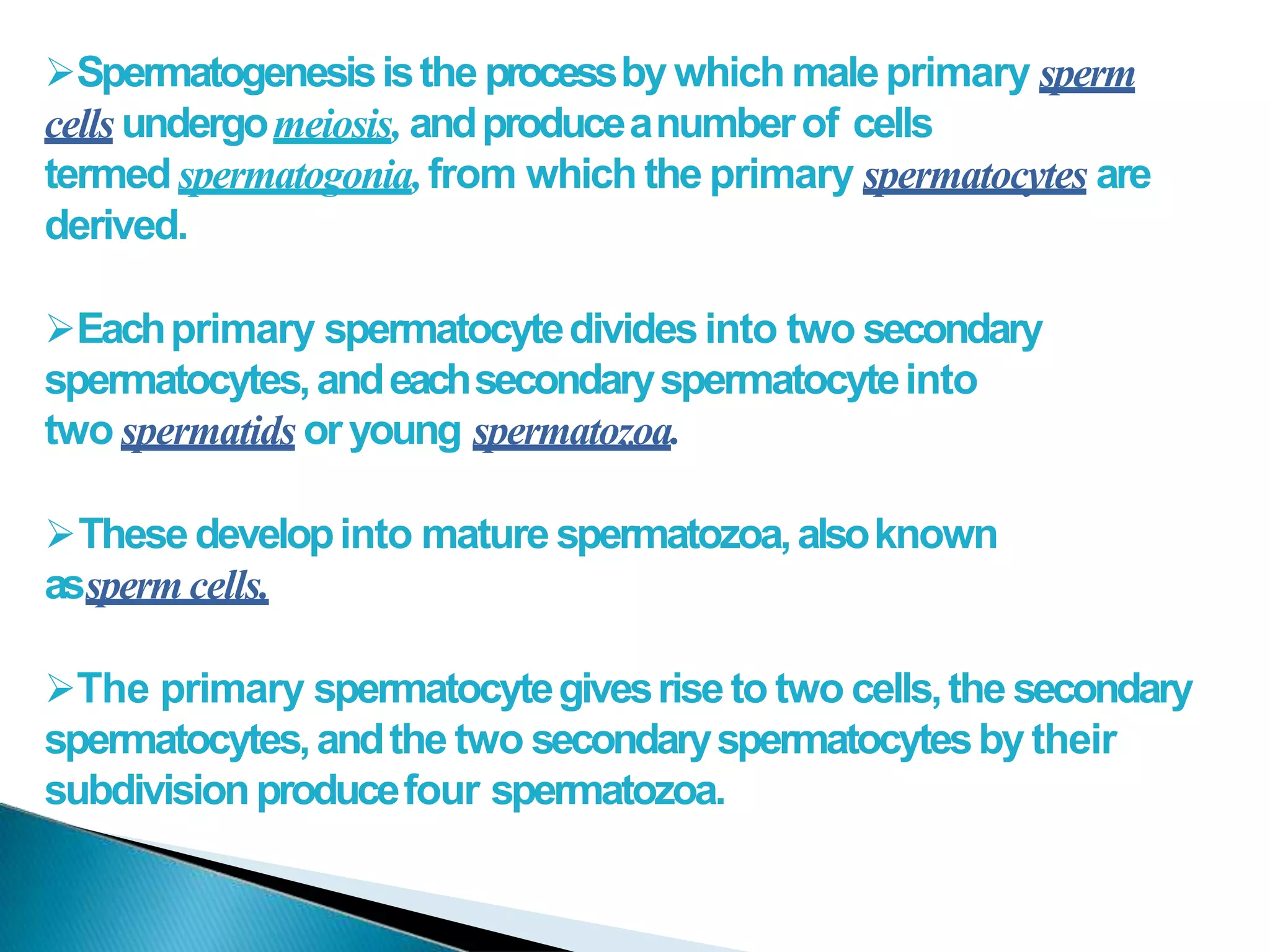 Gametogenesis | PPTX