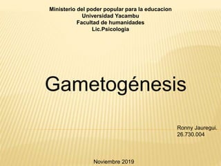 Gametogénesis
Ministerio del poder popular para la educacion
Universidad Yacambu
Facultad de humanidades
Lic.Psicologia
Ronny Jauregui.
26.730.004
Noviembre 2019
 
