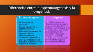 Diferencias entre la espermatogénesis y la
ovogénesis
 