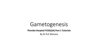 Gametogenesis
Themba Hospital FCOG(SA) Part 1 Tutorials
By Dr N.E Manana
 