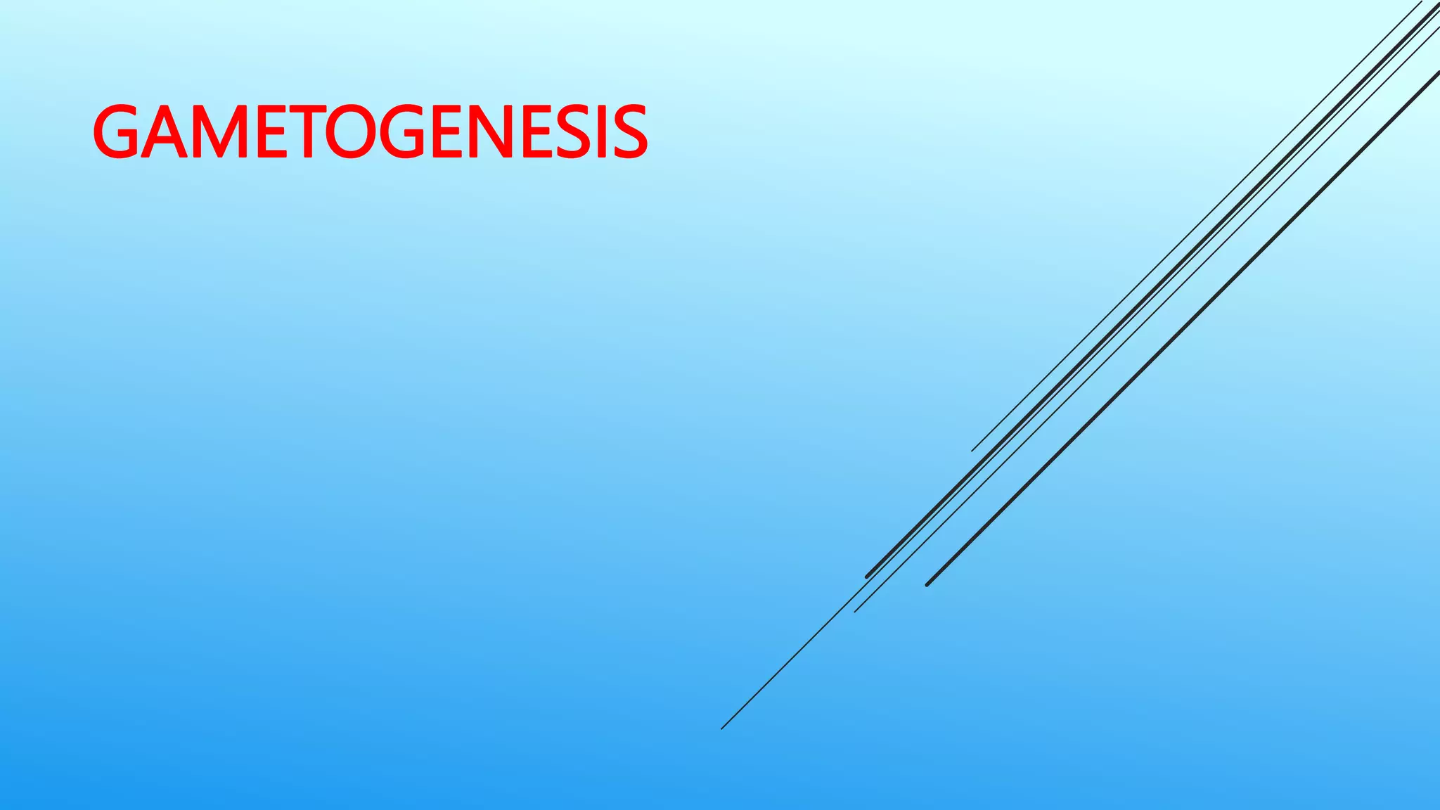 Gametogenesis.pptx | Infertility | Reproductive Health