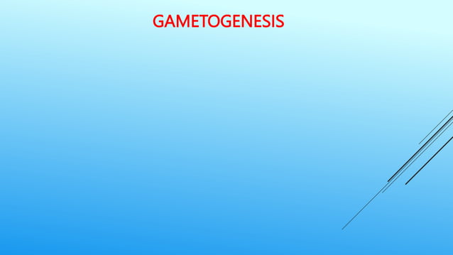Gametogenesis.pptx