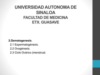 UNIVERSIDAD AUTONOMA DE
SINALOA
FACULTAD DE MEDICINA
ETX. GUASAVE
2.Gematogenesis.
2.1 Espermatogénesis.
2.2 Ovogénesis.
2.3 Ciclo Ovárico (menstrual.
 