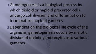  Gametogenesis is a biological process by
which diploid or haploid precursor cells
undergo cell division and differentiation to
form mature haploid gametes.
 Depending on the biological life cycle of the
organism, gametogenesis occurs by meiotic
division of diploid gametocytes into various
gametes.
 
