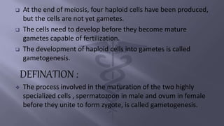  At the end of meiosis, four haploid cells have been produced,
but the cells are not yet gametes.
 The cells need to develop before they become mature
gametes capable of fertilization.
 The development of haploid cells into gametes is called
gametogenesis.
DEFINATION :
 The process involved in the maturation of the two highly
specialized cells , spermatozoon in male and ovum in female
before they unite to form zygote, is called gametogenesis.
 