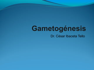 Gametogénesis
Dr. César Ibaceta Tello
 