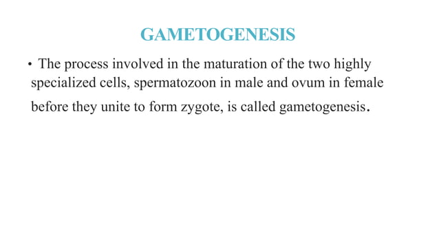 Embryonic development and Gametogenesis.pptx | Infertility ...