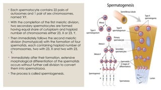 gametogenesis powerpoint presentation... | PPTX