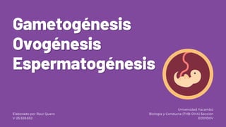GametogénesisGametogénesis
OvogénesisOvogénesis
EspermatogénesisEspermatogénesis
Elaborado por Raul Quero
V-25.559.652
Universidad Yacambú
Biología y Conducta (THB-0144) Sección
ED01D0V
 