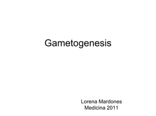 Gametogenesis




       Lorena Mardones
        Medicina 2011
 