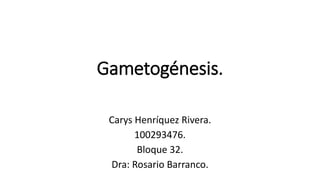 Gametogénesis.
Carys Henríquez Rivera.
100293476.
Bloque 32.
Dra: Rosario Barranco.
 