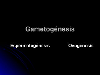 Gametogénesis Espermatogénesis   Ovogénesis   