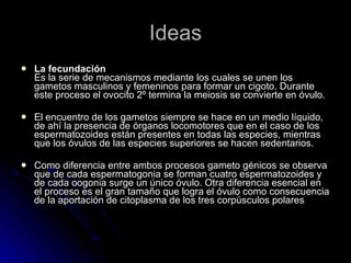 Ideas La fecundación Es la serie de mecanismos mediante los cuales se unen los gametos masculinos y femeninos para formar un cigoto. Durante este proceso el ovocito 2º termina la meiosis se convierte en óvulo.  El encuentro de los gametos siempre se hace en un medio líquido, de ahí la presencia de órganos locomotores que en el caso de los espermatozoides están presentes en todas las especies, mientras que los óvulos de las especies superiores se hacen sedentarios.  Como diferencia entre ambos procesos gameto génicos se observa que de cada espermatogonia se forman cuatro espermatozoides y  de cada oogonia surge un único óvulo. Otra diferencia esencial en el proceso es el gran tamaño que logra el óvulo como consecuencia de la aportación de citoplasma de los tres corpúsculos polares   