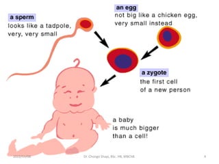 2022/11/08 Dr. Chongo Shapi, BSc. HB, MBChB. 4
 