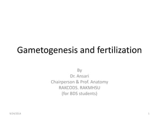 Gametogenesis and fertilization 
By 
Dr. Ansari 
Chairperson & Prof. Anatomy 
RAKCODS. RAKMHSU 
(for BDS students) 
9/24/2014 1 
 